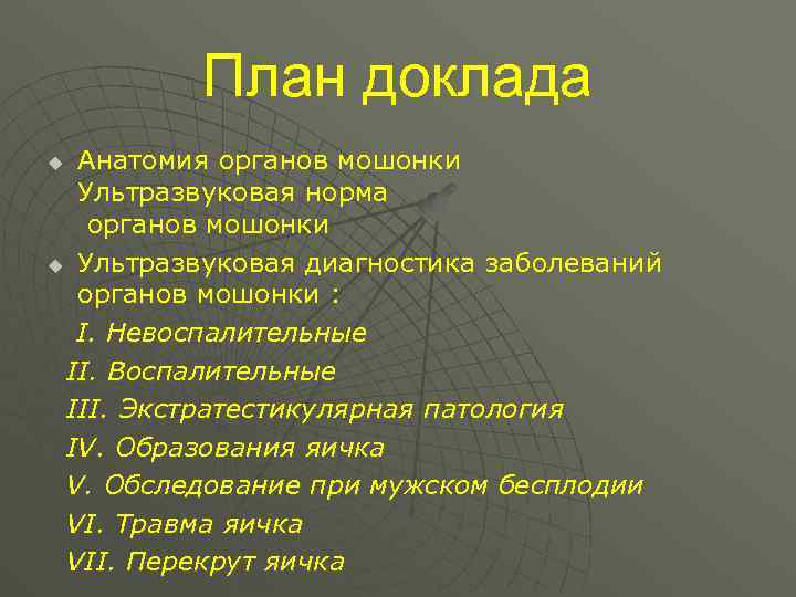 План доклада Анатомия органов мошонки Ультразвуковая норма органов мошонки u Ультразвуковая диагностика заболеваний органов