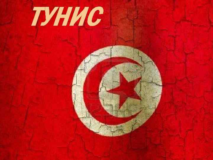 ТУНИС 