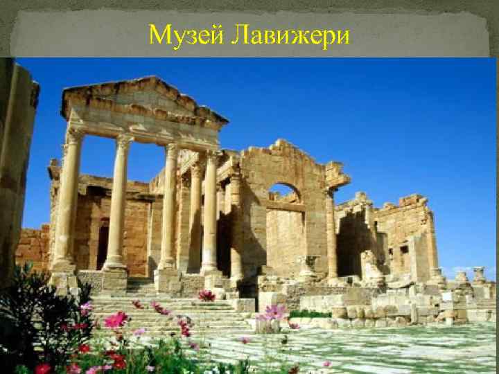 Музей Лавижери 