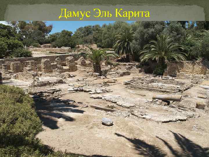 Дамус Эль Карита 