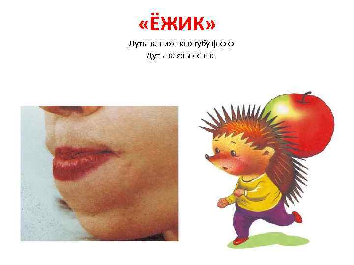  «ЁЖИК» Дуть на нижнюю губу ф-ф-ф Дуть на язык с-с-с- 