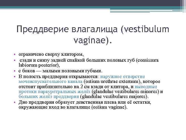 Преддверие влагалища (vestibulum vaginae). • ограничено сверху клитором, • сзади и снизу задней спайкой