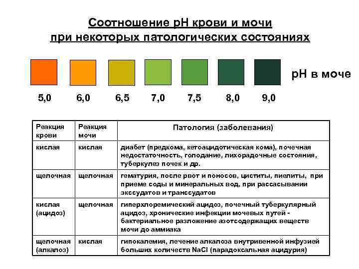 Соотношение р. Н крови и мочи при некоторых патологических состояниях р. Н в моче