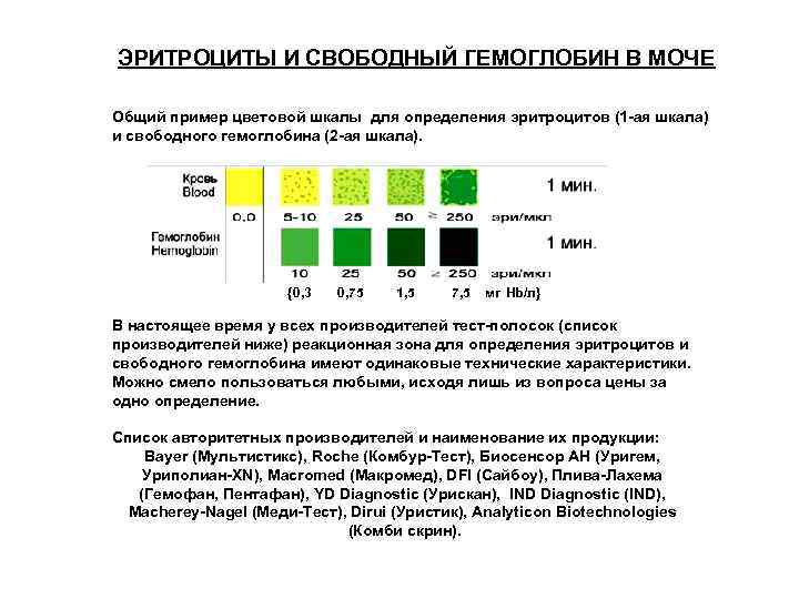 ЭРИТРОЦИТЫ И СВОБОДНЫЙ ГЕМОГЛОБИН В МОЧЕ Общий пример цветовой шкалы для определения эритроцитов (1