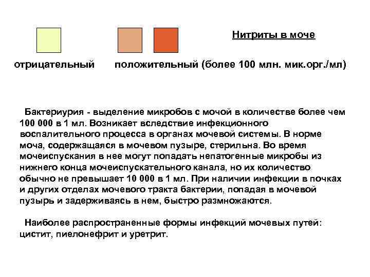 Нитриты в моче отрицательный положительный (более 100 млн. мик. орг. /мл) Бактериурия - выделение