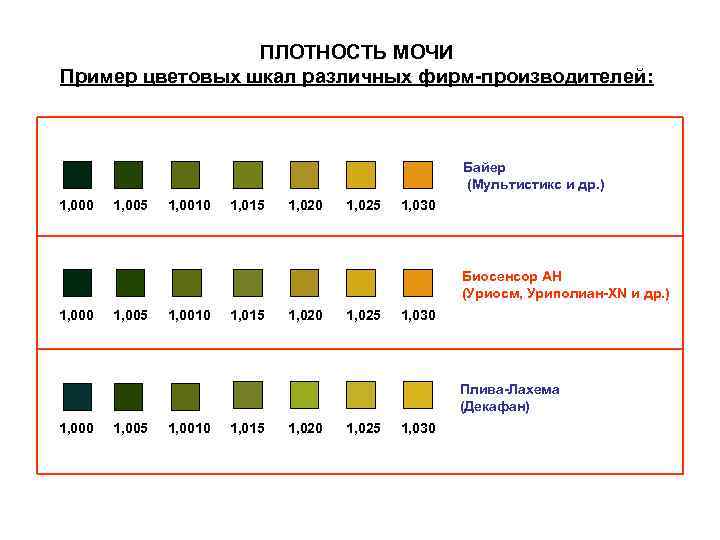ПЛОТНОСТЬ МОЧИ Пример цветовых шкал различных фирм-производителей: Байер (Мультистикс и др. ) 1, 000