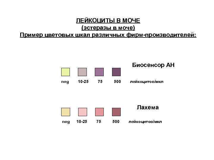 Лейкоцитарная эстераза в моче. Лейкоциты (лейкоцитарная эстераза). Эстераза лейкоцитов в моче. Лейкоциты в моче 500 мкл.