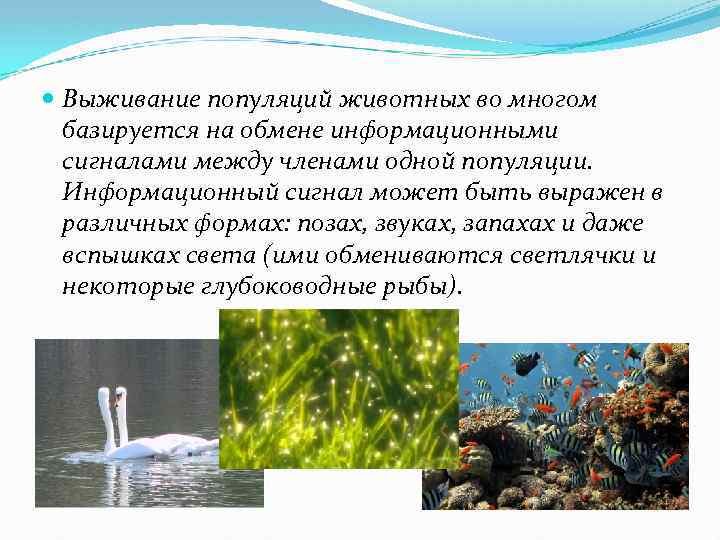  Выживание популяций животных во многом базируется на обмене информационными сигналами между членами одной