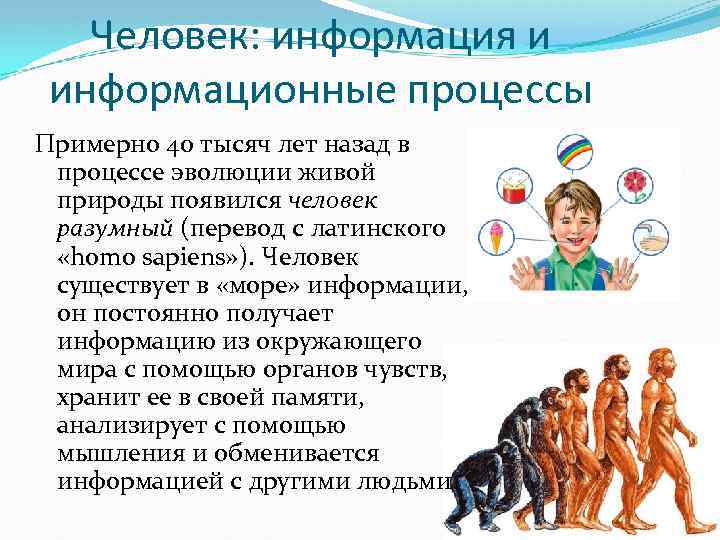 Человек: информация и информационные процессы Примерно 40 тысяч лет назад в процессе эволюции живой