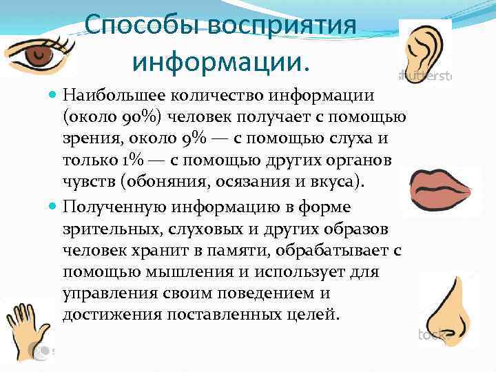 Способы восприятия информации. Наибольшее количество информации (около 90%) человек получает с помощью зрения, около