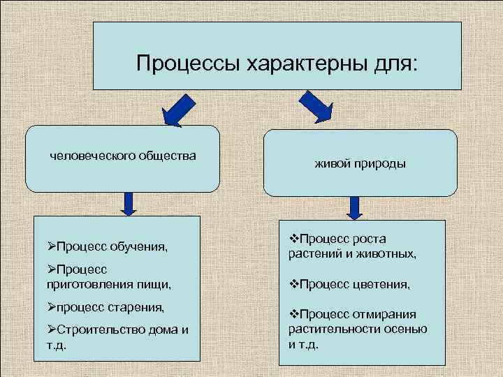 Процессы животных