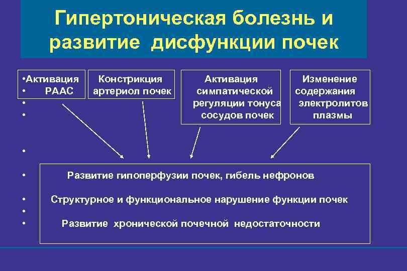 Гипертоническая болезнь и развитие дисфункции почек • Активация • РААС • • Констрикция артериол