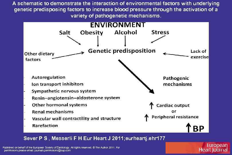 A schematic to demonstrate the interaction of environmental factors with underlying genetic predisposing factors