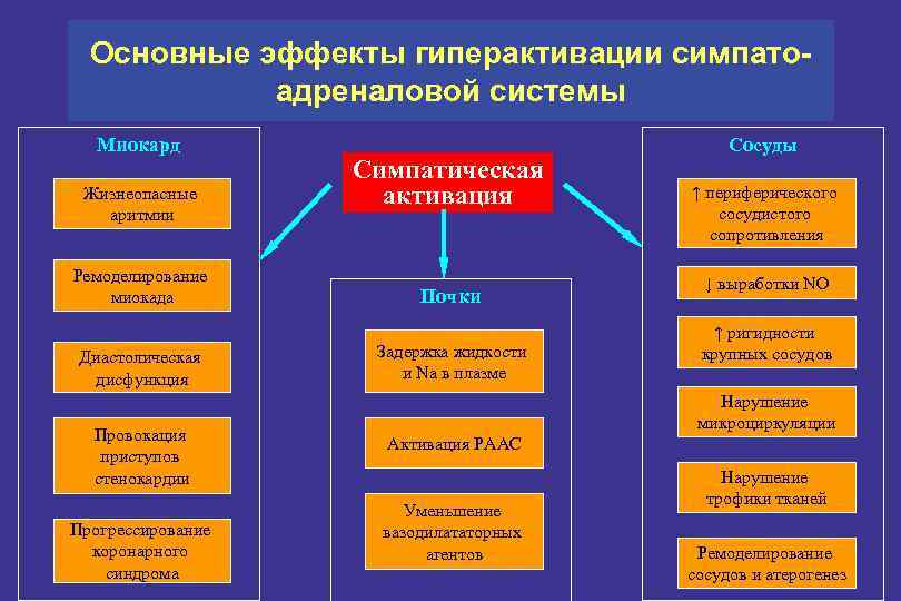 Основные эффекты гиперактивации симпатоадреналовой системы Миокард Жизнеопасные аритмии Ремоделирование миокада Диастолическая дисфункция Провокация приступов