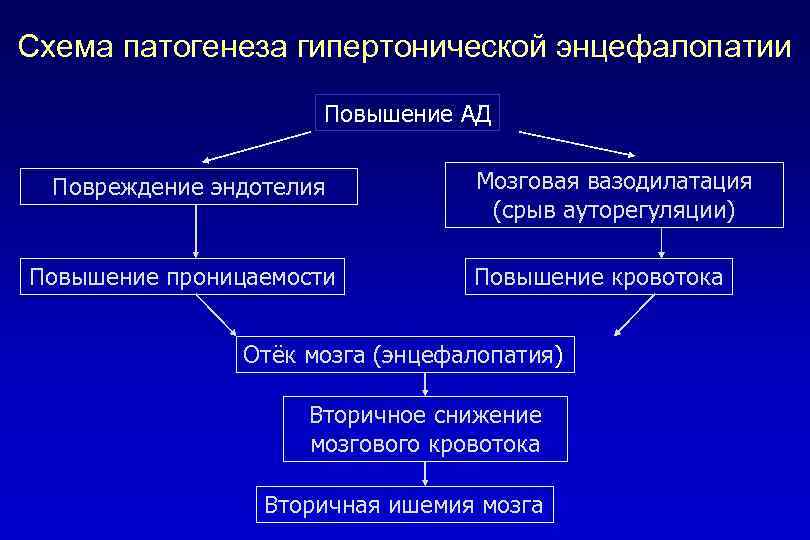 Схема патогенеза гипертонической энцефалопатии Повышение АД Повреждение эндотелия Повышение проницаемости Мозговая вазодилатация (срыв ауторегуляции)