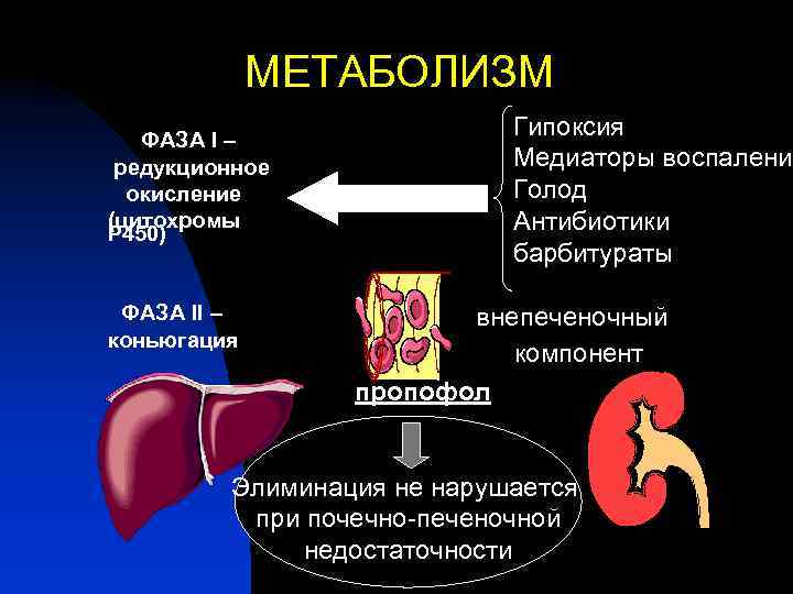 Элиминация что это в медицине. Элиминация в медицине. Элиминация вируса. Элиминация это в фармакологии. Элиминация иммунология.