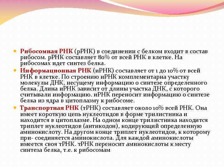  Рибосомная РНК (р. РНК) в соединении с белком входит в состав рибосом. р.
