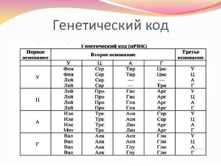 Генетический код 