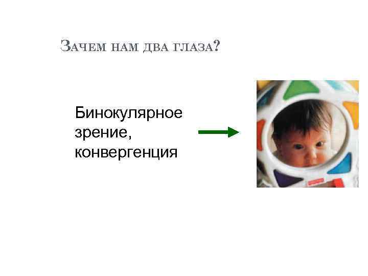 ЗАЧЕМ НАМ ДВА ГЛАЗА? Бинокулярное зрение, конвергенция 