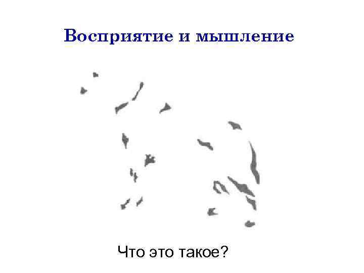 Восприятие и мышление Что это такое? 