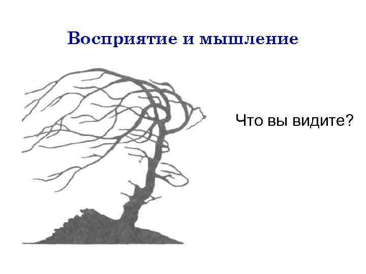 Восприятие и мышление Что вы видите? 