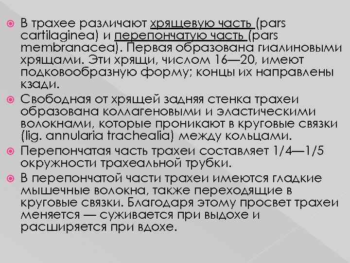 В трахее различают хрящевую часть (pars cartilaginea) и перепончатую часть (pars membranacea). Первая образована