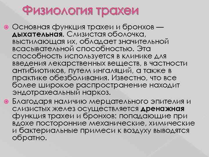 Физиология трахеи Основная функция трахеи и бронхов — дыхательная. Слизистая оболочка, выстилающая их, обладает