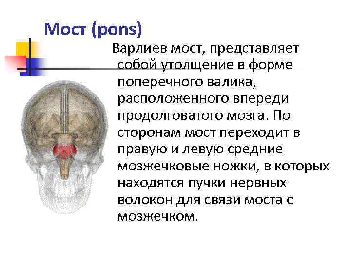 Впереди расположенного