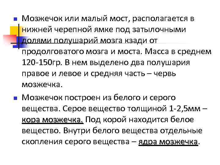 n n Мозжечок или малый мост, располагается в нижней черепной ямке под затылочными долями
