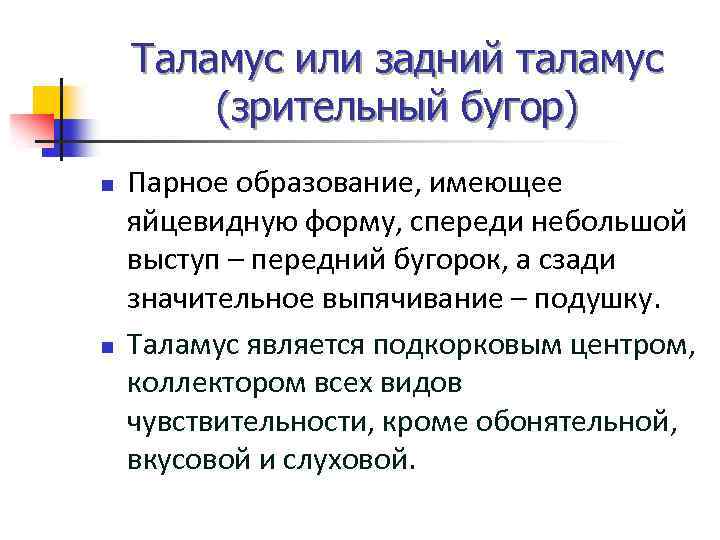 Таламус или задний таламус (зрительный бугор) n n Парное образование, имеющее яйцевидную форму, спереди