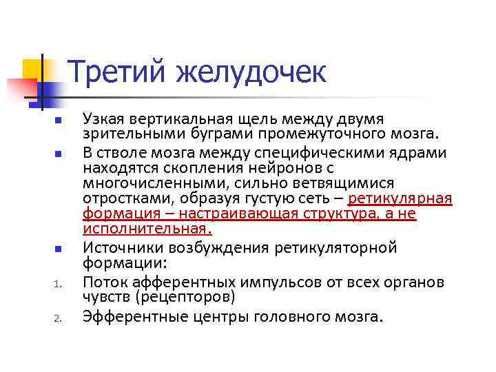 Третий желудочек n n n 1. 2. Узкая вертикальная щель между двумя зрительными буграми