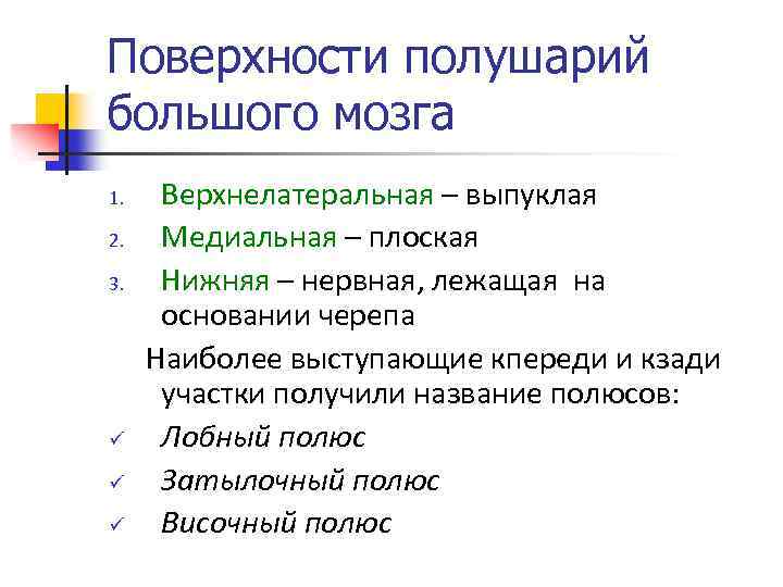 Поверхности полушарий большого мозга 1. 2. 3. ü ü ü Верхнелатеральная – выпуклая Медиальная