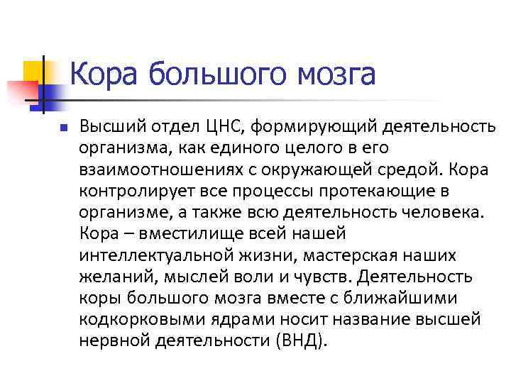 Кора большого мозга n Высший отдел ЦНС, формирующий деятельность организма, как единого целого в