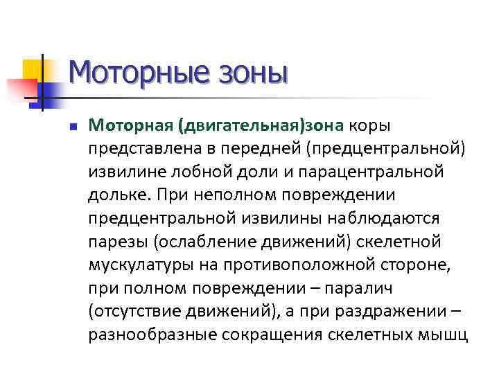 Моторные зоны n Моторная (двигательная)зона коры представлена в передней (предцентральной) извилине лобной доли и