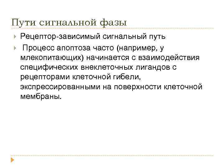 Пути сигнальной фазы Рецептор-зависимый сигнальный путь Процесс апоптоза часто (например, у млекопитающих) начинается с