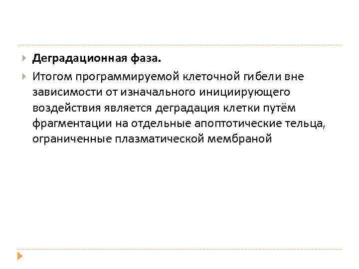  Деградационная фаза. Итогом программируемой клеточной гибели вне зависимости от изначального инициирующего воздействия является