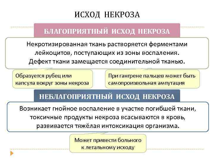 ИСХОД НЕКРОЗА БЛАГОПРИЯТНЫЙ ИСХОД НЕКРОЗА Некротизированная ткань растворяется ферментами лейкоцитов, поступающих из зоны воспаления.