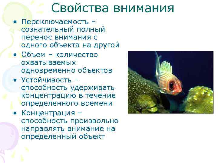 Свойства внимания • Переключаемость – сознательный полный перенос внимания с одного объекта на другой