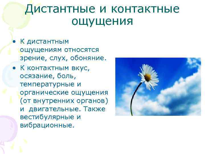 Дистантные и контактные ощущения • К дистантным ощущениям относятся зрение, слух, обоняние. • К