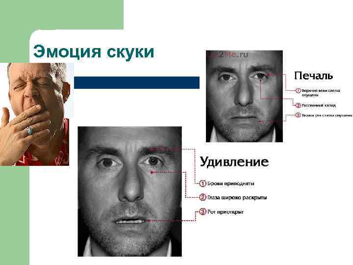 Эмоция скуки 