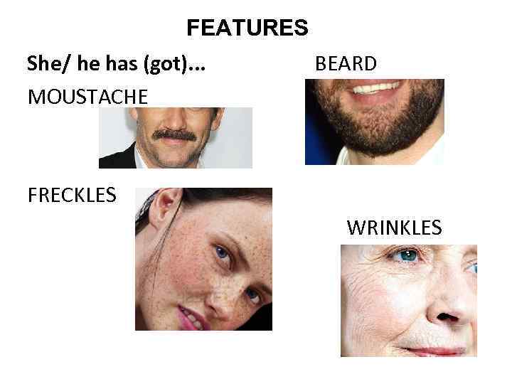 FEATURES She/ he has (got). . . MOUSTACHE BEARD FRECKLES WRINKLES 