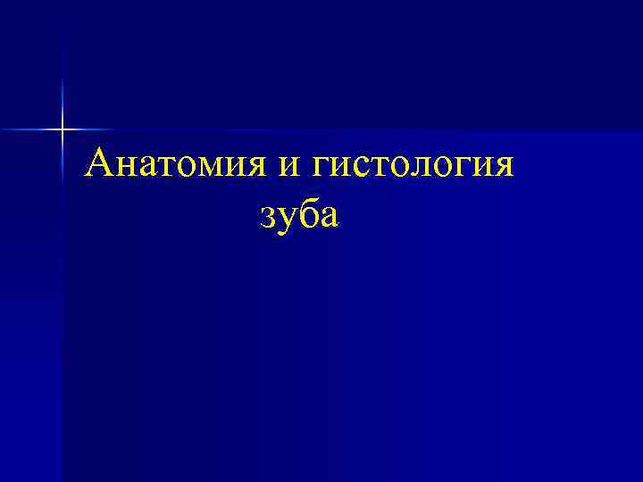 Анатомия и гистология зуба 