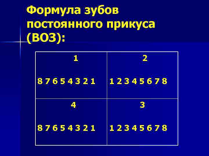 Анатомия постоянных зубов презентация