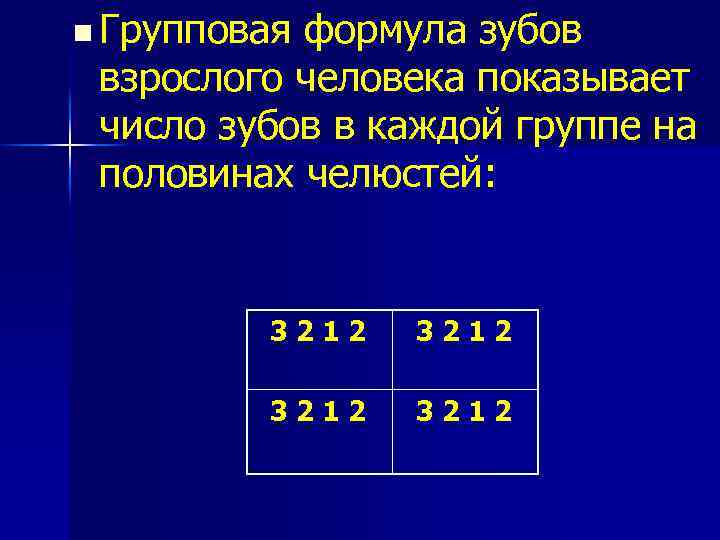 n Групповая формула зубов взрослого человека показывает число зубов в каждой группе на половинах