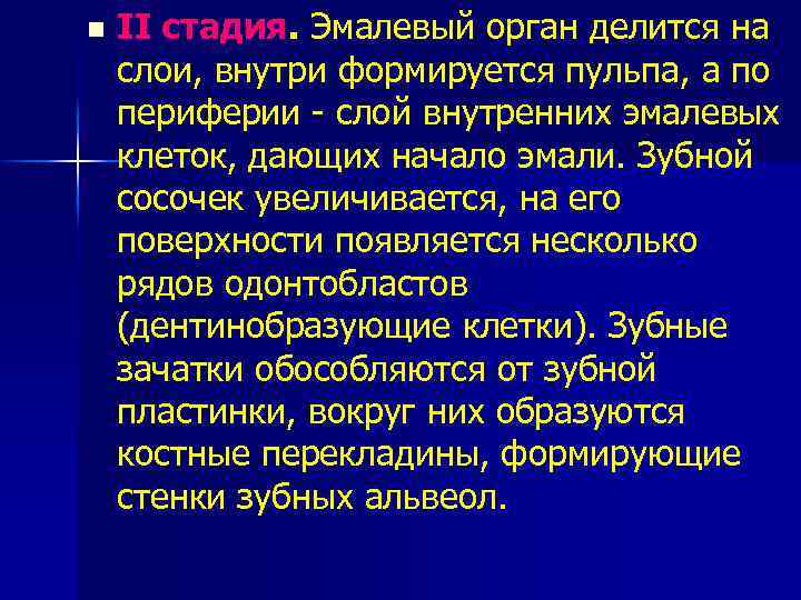 n II стадия. Эмалевый орган делится на слои, внутри формируется пульпа, а по периферии