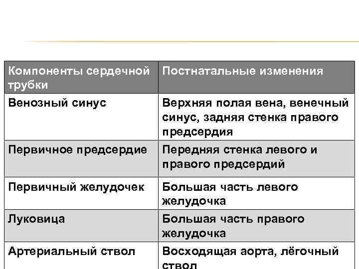 Компоненты сердечной трубки Венозный синус Постнатальные изменения Первичное предсердие Передняя стенка левого и правого