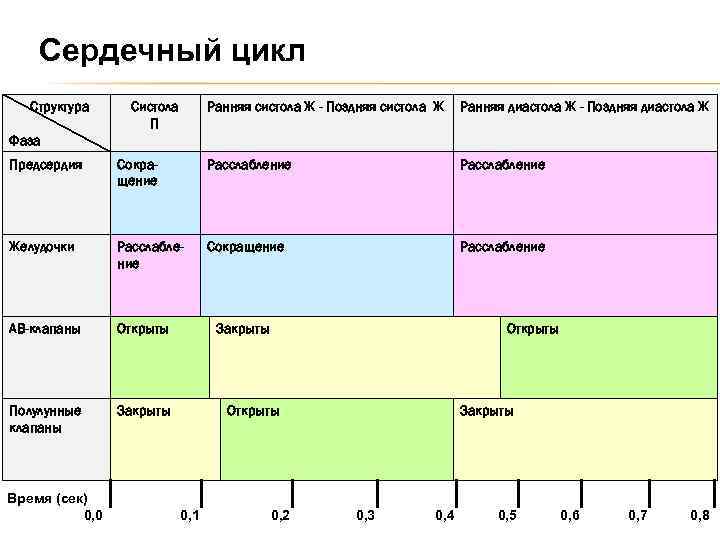 Сердечный цикл Структура Систола П Ранняя систола Ж - Поздняя систола Ж Ранняя диастола