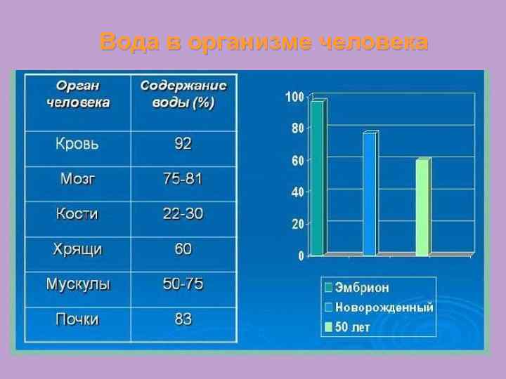 Вода в организме человека 