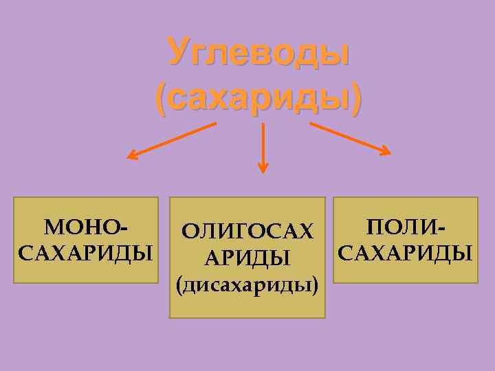 Углеводы (сахариды) МОНОСАХАРИДЫ ПОЛИОЛИГОСАХ САХАРИДЫ (дисахариды) 