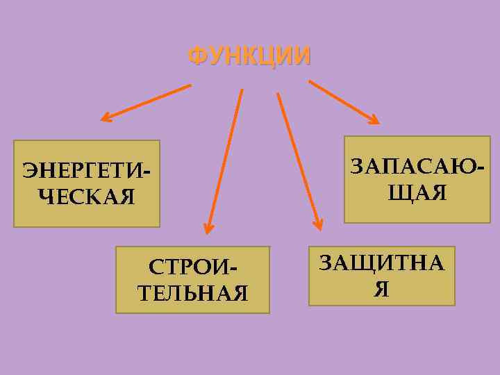 ФУНКЦИИ ЭНЕРГЕТИЧЕСКАЯ СТРОИТЕЛЬНАЯ ЗАПАСАЮЩАЯ ЗАЩИТНА Я 